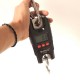 WH-C300 Závesná váha do 300kg/0,1kg